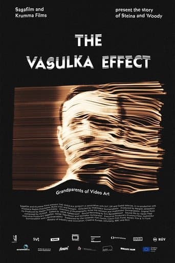 Movie poster for The Vasulka Effect