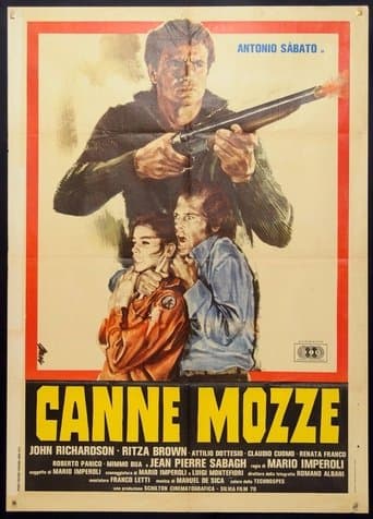 Movie poster for Sawed-Off Shotgun