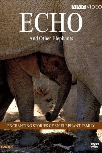 Movie poster for Echo and Other Elephants