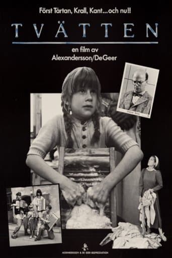 Movie poster for The Laundry