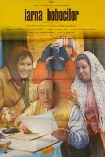 Movie poster for Iarna bobocilor