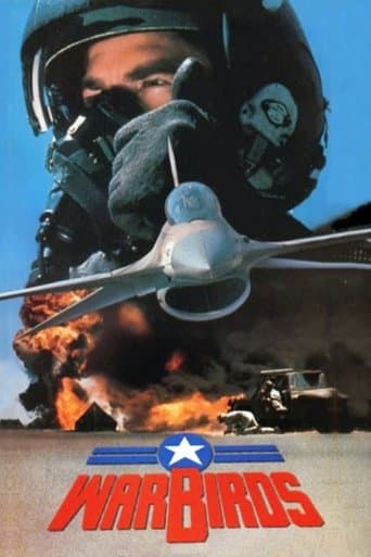 Movie poster for Warbirds
