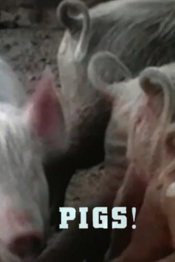 Movie poster for Pigs!