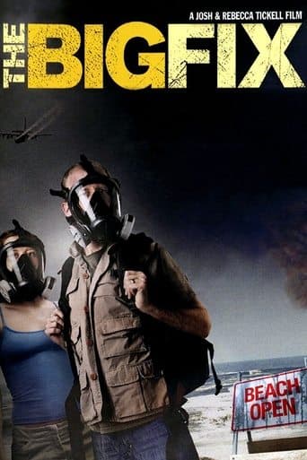 Movie poster for The Big Fix
