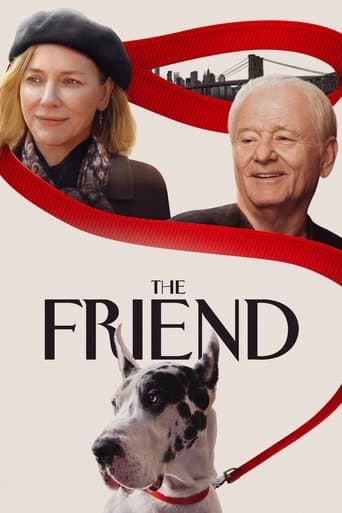 Movie poster for The Friend