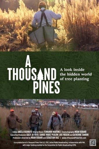 Movie poster for A Thousand Pines