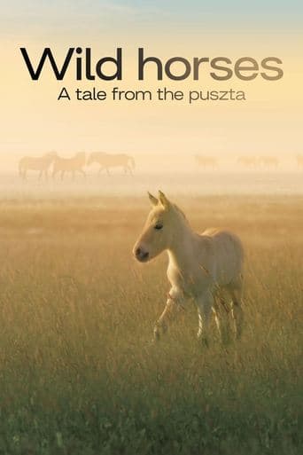 Movie poster for Wild Horses - A Tale From The Puszta