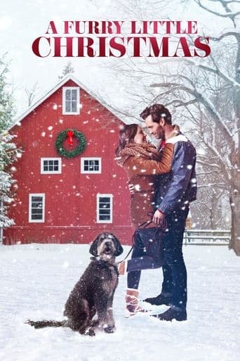 Movie poster for A Furry Little Christmas