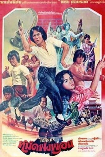 Movie poster for Fearless Master