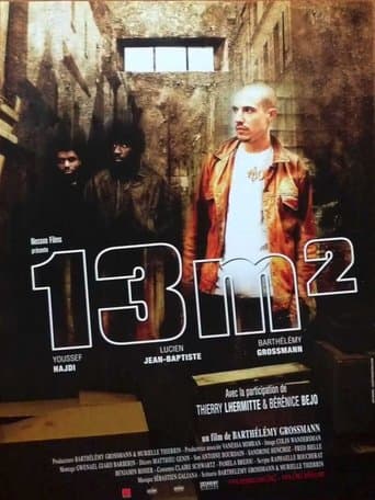 Movie poster for 13 m²