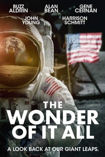 Movie poster for The Wonder of It All