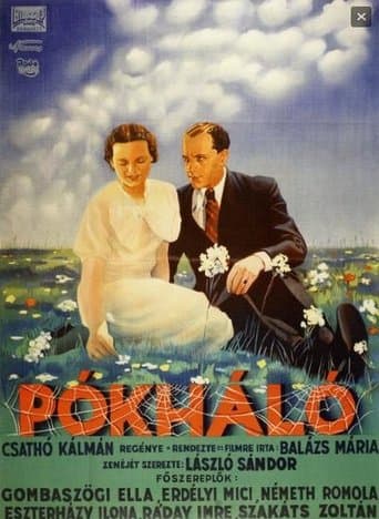 Movie poster for Cobweb