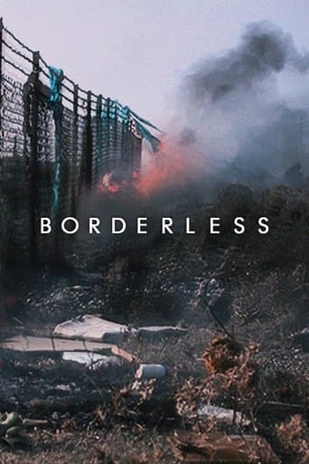 Movie poster for Borderless