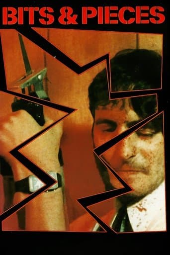 Movie poster for Bits and Pieces
