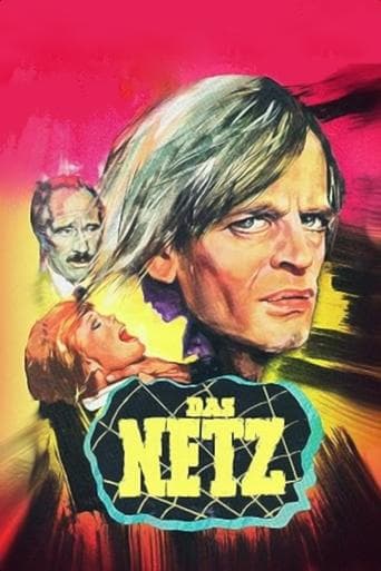 Movie poster for The Net