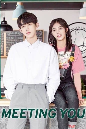 Movie poster for Meeting You