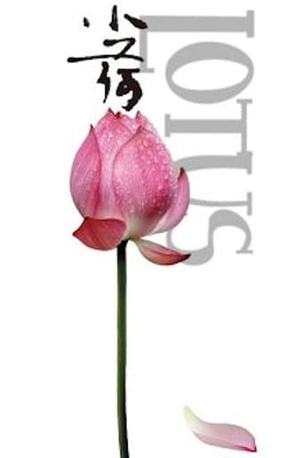 Movie poster for Lotus