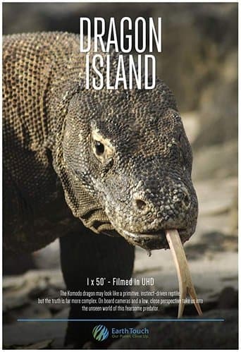 Movie poster for Dragon Island
