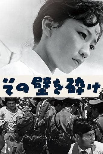 Movie poster for Break Down that Wall