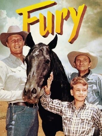 Movie poster for Fury