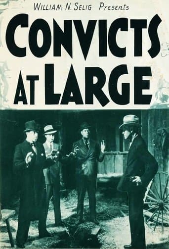 Movie poster for Convicts at Large