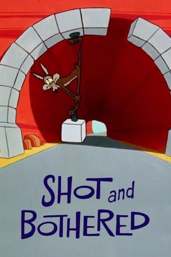 Movie poster for Shot and Bothered