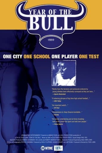 Movie poster for Year Of The Bull