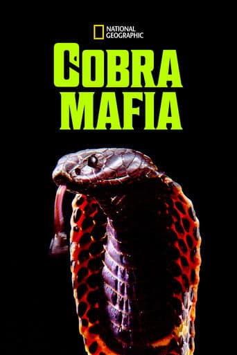 Movie poster for Cobra Mafia
