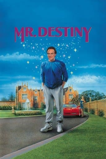 Movie poster for Mr. Destiny