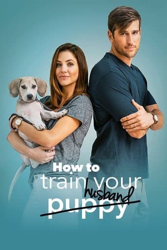 Movie poster for How to Train Your Husband