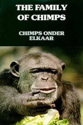 Movie poster for The Family of Chimps