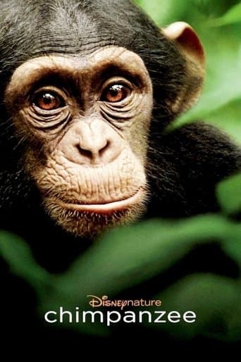Movie poster for Chimpanzee