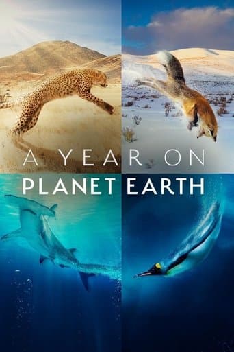 Movie poster for A Year on Planet Earth