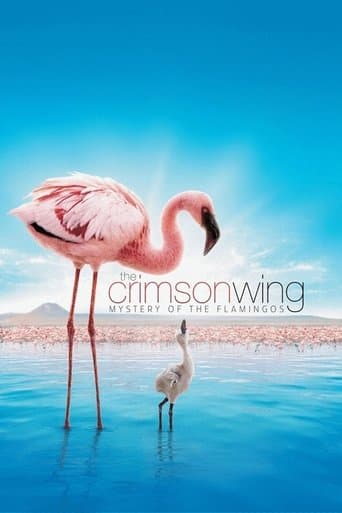 Movie poster for The Crimson Wing: Mystery of the Flamingos