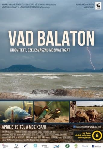 Movie poster for Balaton
