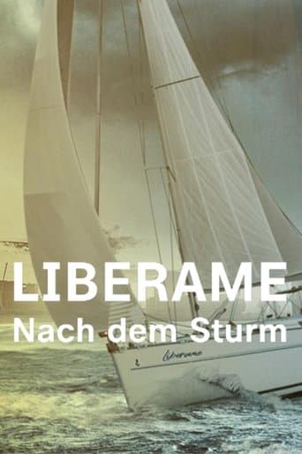 Movie poster for Liberame - Nach dem Sturm