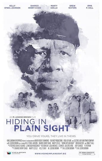 Movie poster for Hiding in Plain Sight