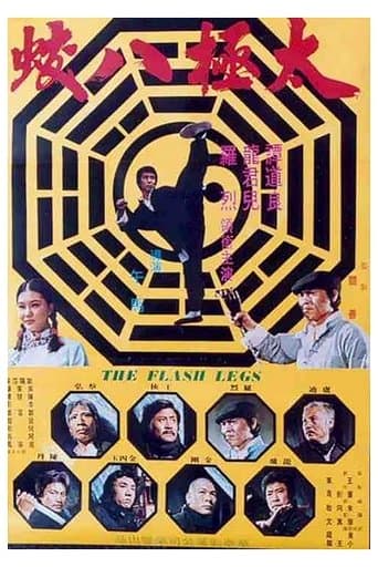 Movie poster for Shaolin Deadly Kicks