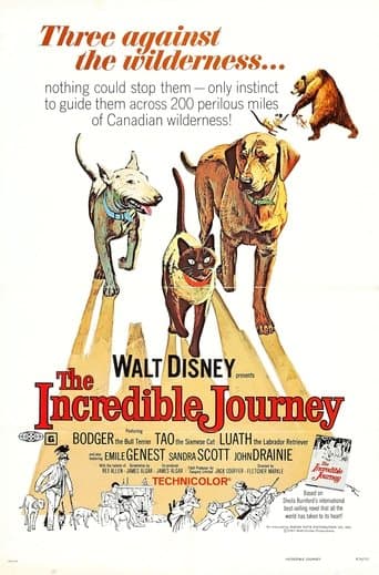 Movie poster for The Incredible Journey