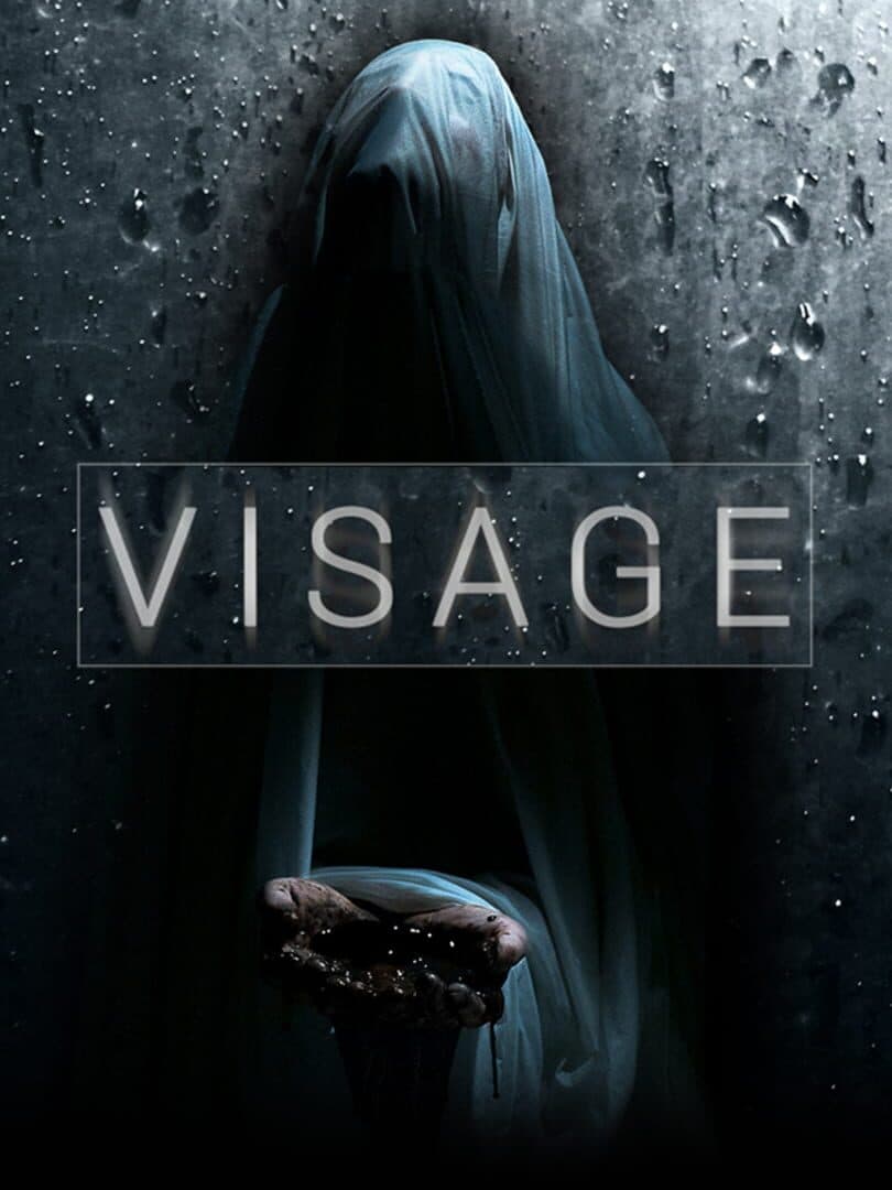 Movie poster for Visage