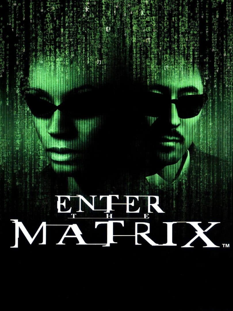Movie poster for Enter the Matrix