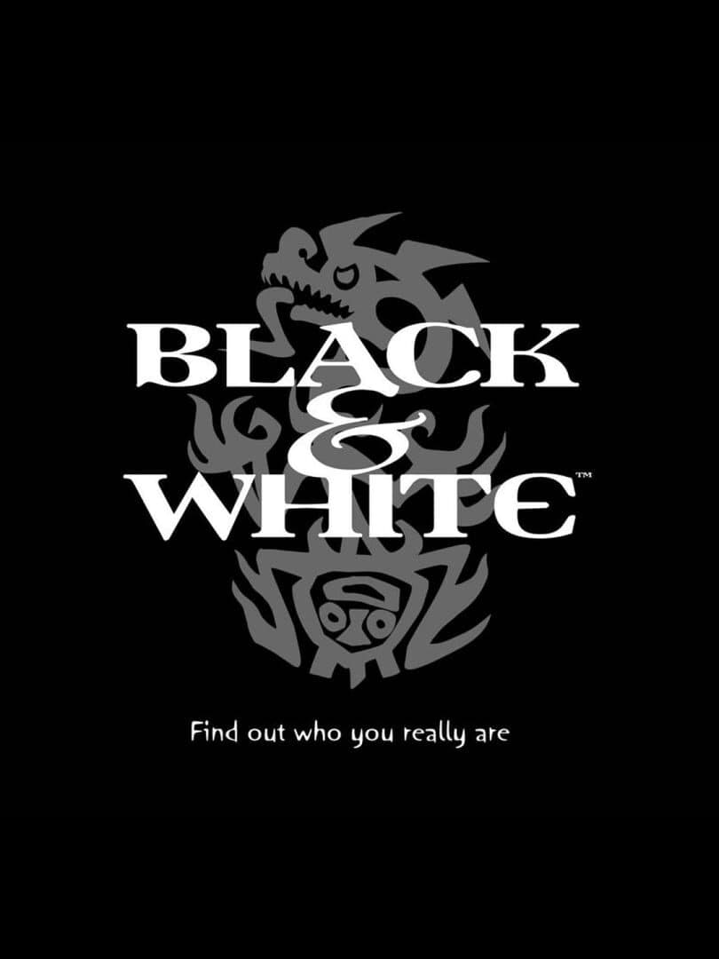 Movie poster for Black & White