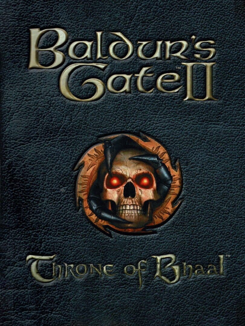 Movie poster for Baldur's Gate II: Throne of Bhaal