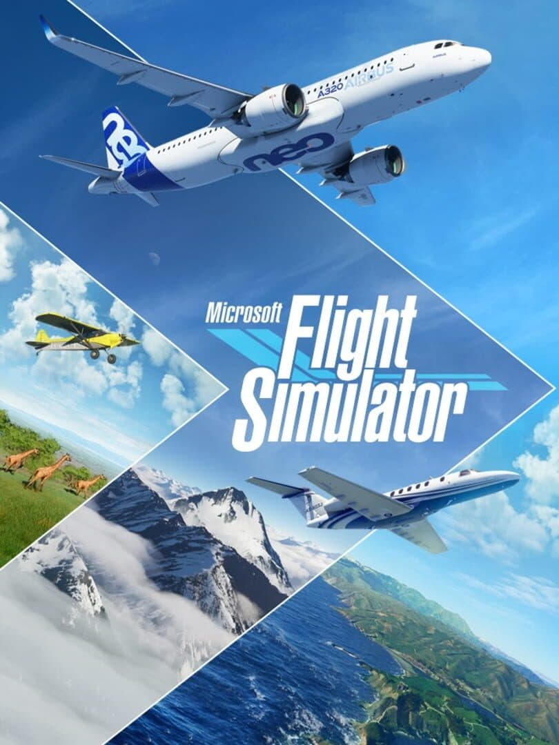 Movie poster for Microsoft Flight Simulator