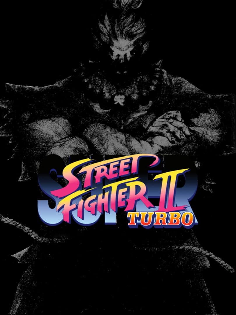 Movie poster for Super Street Fighter II Turbo