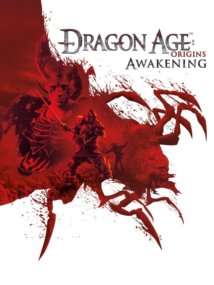 Movie poster for Dragon Age: Origins - Awakening