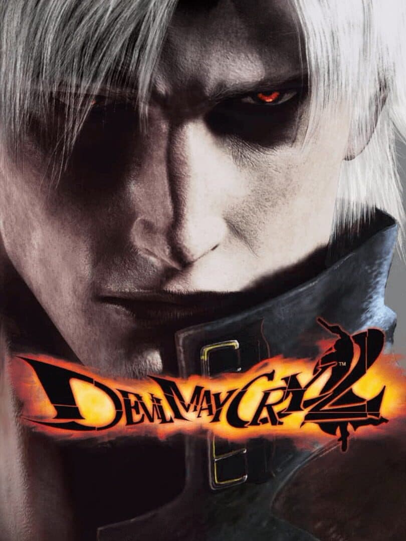 Movie poster for Devil May Cry 2
