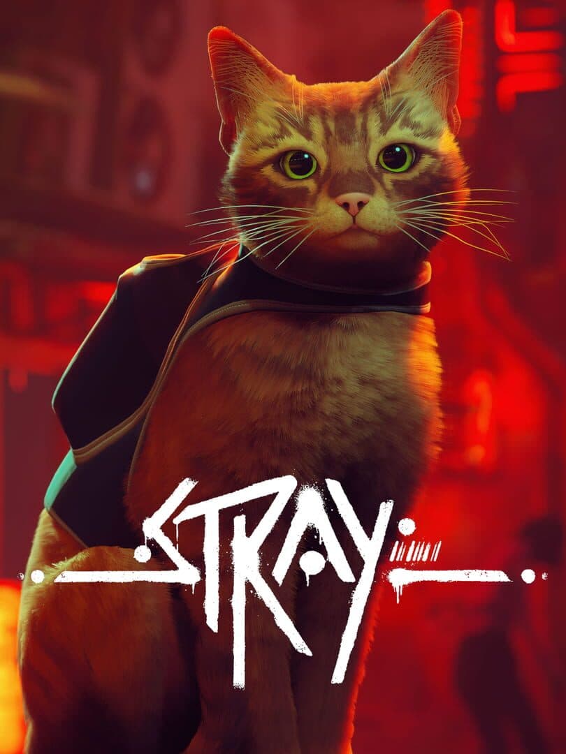 Movie poster for Stray