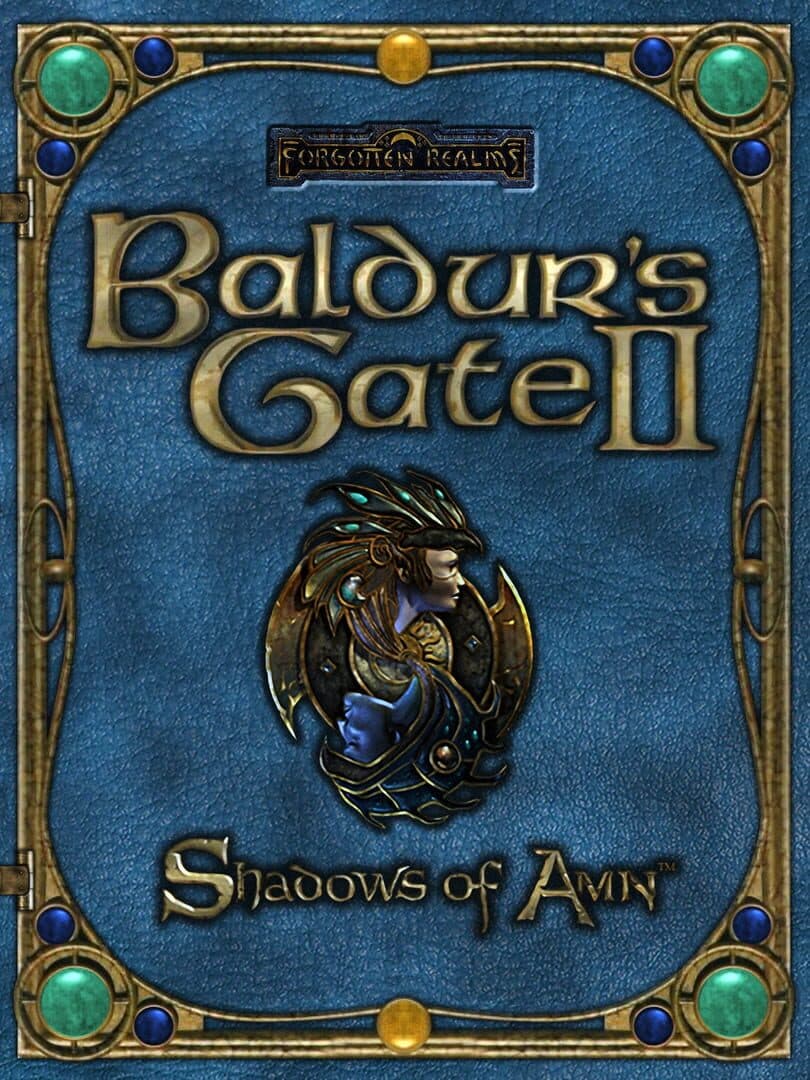 Movie poster for Baldur's Gate II: Shadows of Amn