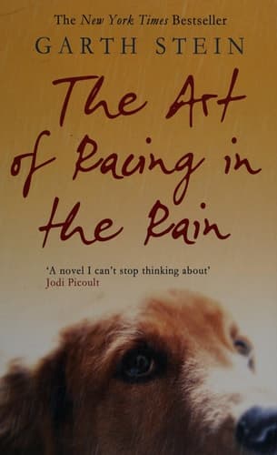 Movie poster for The Art Of Racing In The Rain